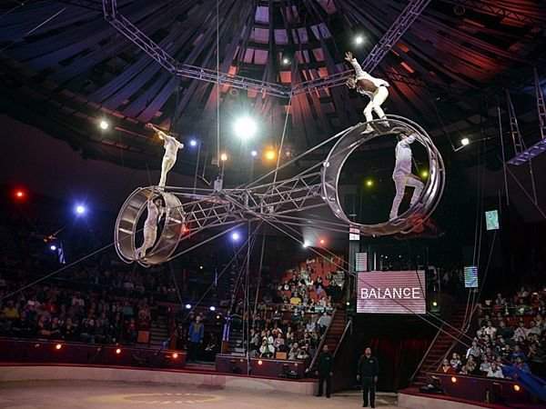 On this week: 11th International Circus Festival in Budapest - Daily News  Hungary