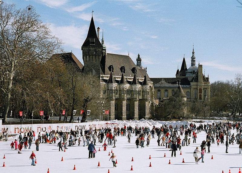 ice world ice skating