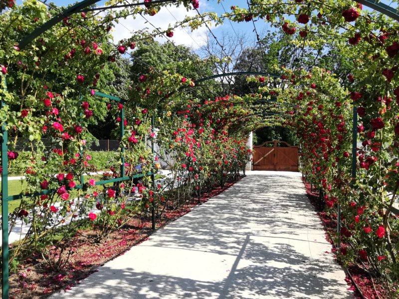 4 reasons to visit Esterházy Palace in Fertőd − PHOTOS Daily News Hungary