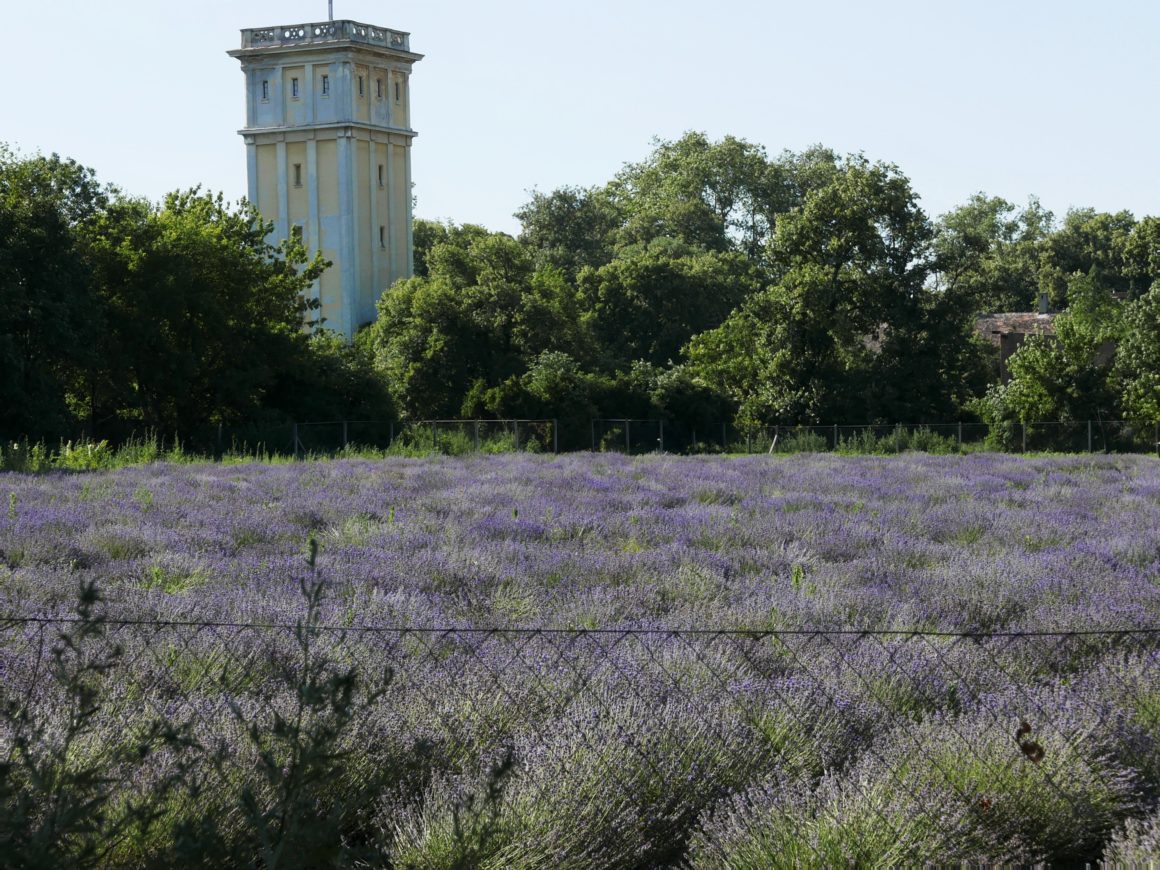 4 reasons to visit Esterházy Palace in Fertőd − PHOTOS Daily News Hungary