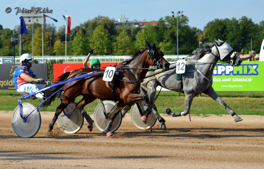 The world's biggest New Year's Eve horse race to be held in Budapest