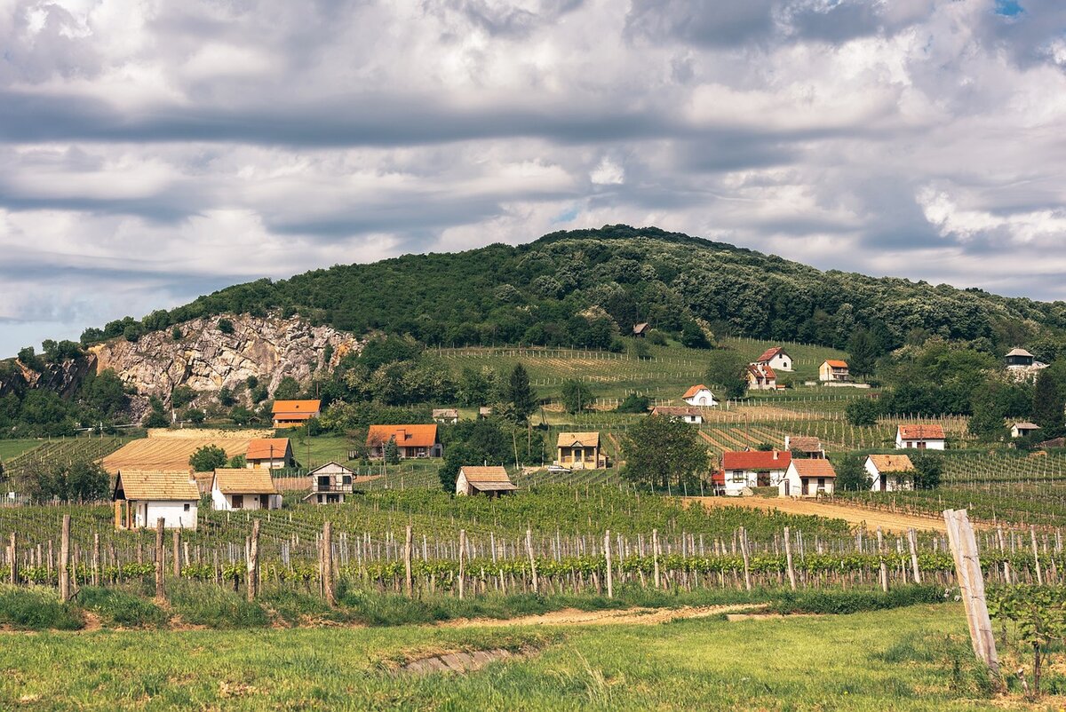 Région viticole du vignoble de Villány